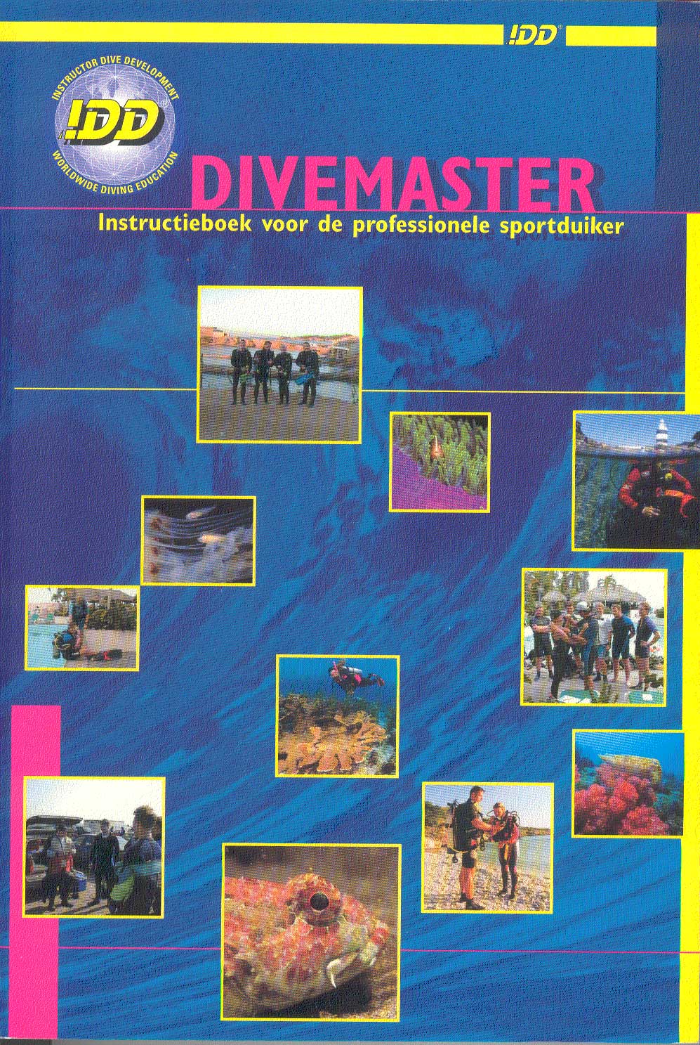 DiveMaster-web